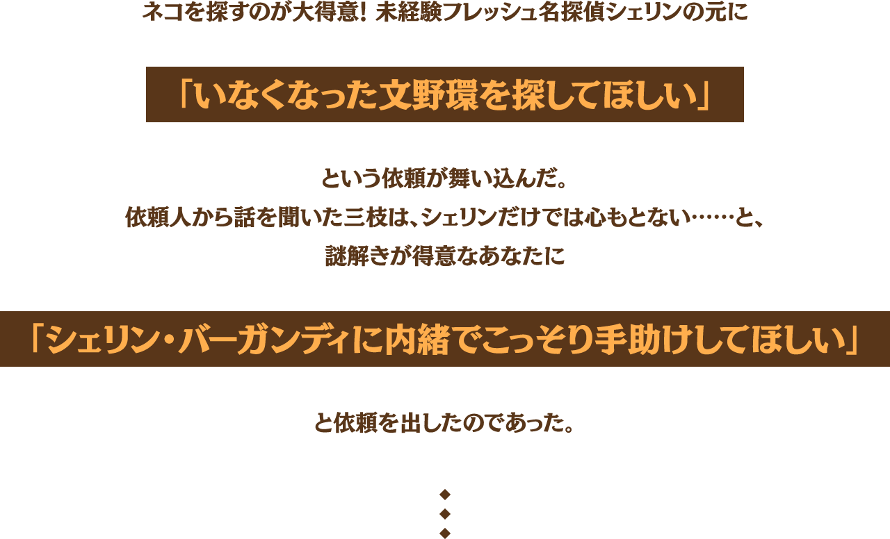 名探偵シェリン&三枝 最初の事件〜いなくなった文野環をさがせ！〜